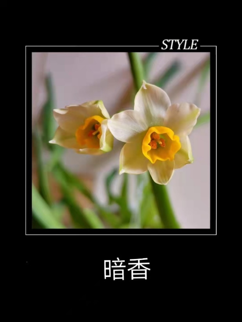 色情直播